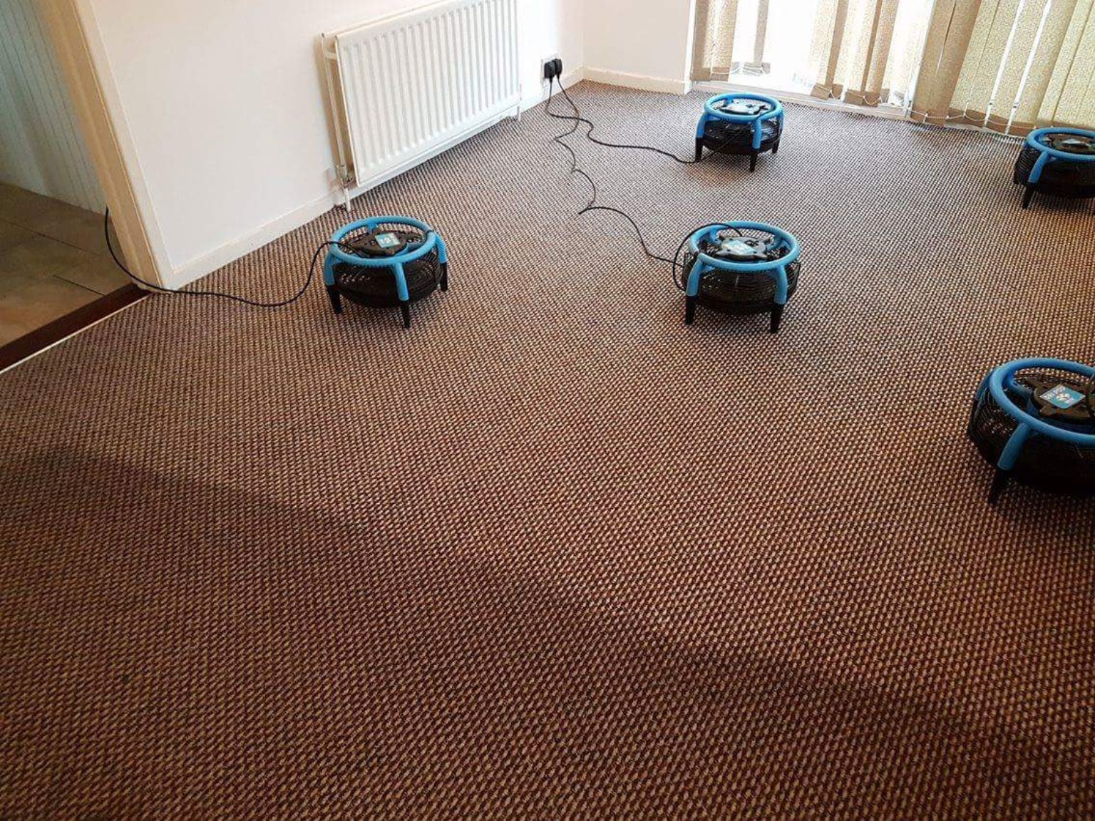 Blue air movers on a living-room carpet